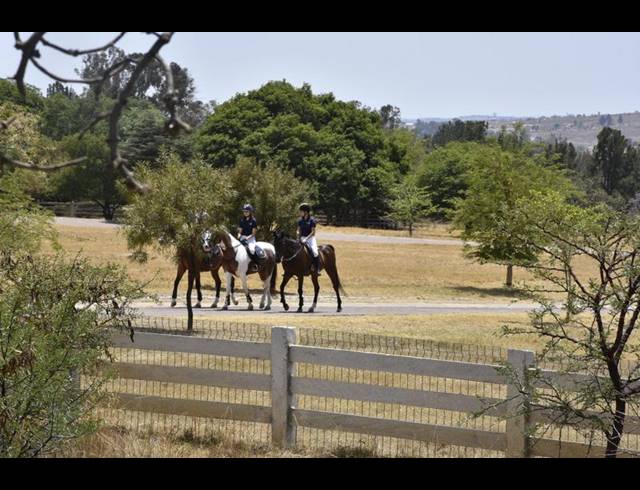 LAND FOR SALE IN KYALAMI AH